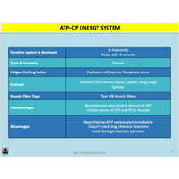 UNIT 3 AOS 2 - How does the body produce energy? (2nd ed) - Powerpoint