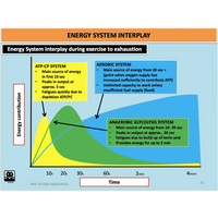 UNIT 3 AOS 2 - How does the body produce energy? - Powerpoint