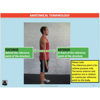 UNIT 3 SPORT SCIENCE LEVEL 3 - Skill Acquisition - Powerpoint