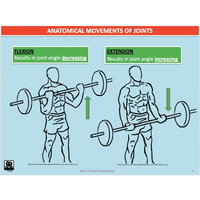 UNIT 3 SPORT SCIENCE LEVEL 3 - Skill Acquisition - Powerpoint