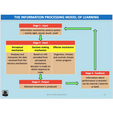 UNIT 3 SPORT SCIENCE LEVEL 3 - Skill Acquisition - Powerpoint