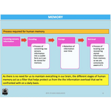 UNIT 3 SPORT SCIENCE LEVEL 3 - Skill Acquisition - Powerpoint