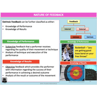 UNIT 3 SPORT SCIENCE LEVEL 3 - Skill Acquisition - Powerpoint