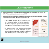 UNIT 4 Topic 1 - Energy Fitness & Training for Physical Activity - Powerpoint