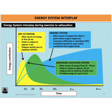 UNIT 4 Topic 1 - Energy Fitness & Training for Physical Activity - Powerpoint