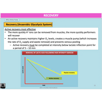 UNIT 4 Topic 1 - Energy Fitness & Training for Physical Activity - Powerpoint