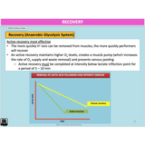 UNIT 4 Topic 1 - Energy Fitness & Training for Physical Activity - Powerpoint