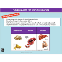 UNIT 4 Topic 1 - Energy Fitness & Training for Physical Activity - Powerpoint