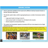 UNIT 4 Topic 1 - Energy Fitness & Training for Physical Activity - Powerpoint