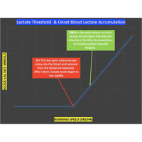 UNIT 4 Topic 1 - Energy Fitness & Training for Physical Activity - Powerpoint