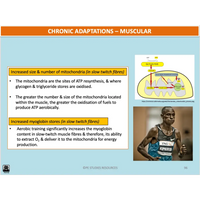 UNIT 4 AOS 2 - How is training implemented effectively to improve fitness? (2nd ed) - Powerpoint