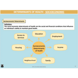 WACE General U3&4 - Holistic Health - Powerpoint