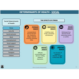 WACE General U3&4 - Holistic Health - Powerpoint