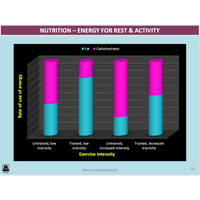 What factors influence movement and performance? - Powerpoint