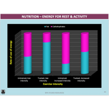 What factors influence movement and performance? - Powerpoint