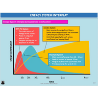 What factors influence movement and performance? - Powerpoint