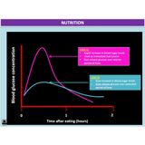 What factors influence movement and performance? - Powerpoint