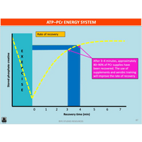 What factors influence movement and performance? - Powerpoint