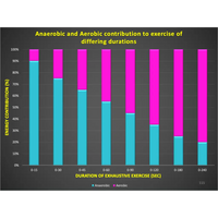 What factors influence movement and performance? - Powerpoint