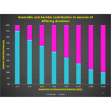 What factors influence movement and performance? - Powerpoint