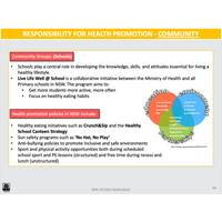 What key health issues affect the health of young people? & What are the opportunities for improving and promoting