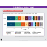 What key health issues affect the health of young people? & What are the opportunities for improving and promoting