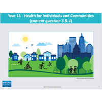 What key health issues affect the health of young people? & What are the opportunities for improving and promoting