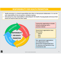 What key health issues affect the health of young people? & What are the opportunities for improving and promoting