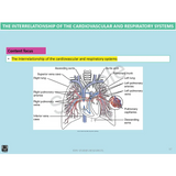 Year 10 Sport Science (QCE) - Package