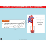 Year 10 Sport Science (QCE) - Package