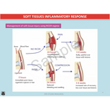 Year 10 Sport Science (QCE) - Package