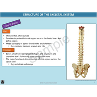 Year 10 Sport Science (QCE) - Package