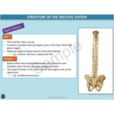 Year 10 Sport Science (QCE) - Package