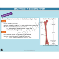 Year 10 Sport Science (QCE) - Package