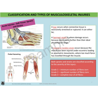 Year 10 Sport Science (QCE) - Package