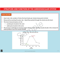 Year 10 Sport Science (QCE) - Package