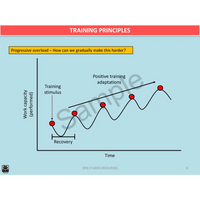 Year 10 Sport Science (QCE) - Package