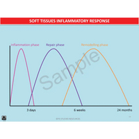 Year 10 Sport Science (QCE) - Package