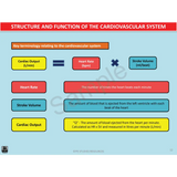 Year 10 Sport Science (QCE) - Package