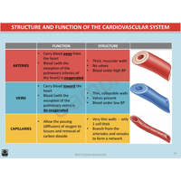 Year 10 Sport Science (QCE) - Package