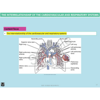 Year 10 Sport Science (VCE) - Package