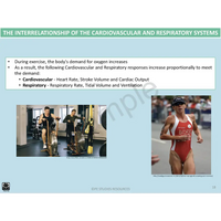 Year 10 Sport Science (VCE) - Package