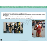 Year 10 Sport Science (WACE) - Package