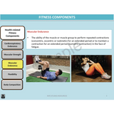 Year 10 Sport Science (WACE) - Package